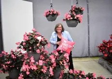 Jen Calhoun of Benary presenting the Pink Bronze Leaf Big Begonia. It is a new variety in the big begonia series and has dark (which gets even darker in the sun) colored leaves and glossy foliage. The big begonia series is, according to Jen, a powerhouse for Benary. “It works well worldwide and landscapers love them.” she says.